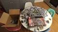Alex_New800dollarFalcon_11-2017 (4)